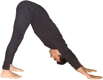 Mukha Svanasana yoga names dog Adho poses downward