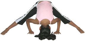 Yoga Stretch: Upavistha-Konasana Seated Wide Legged Straddle Pose